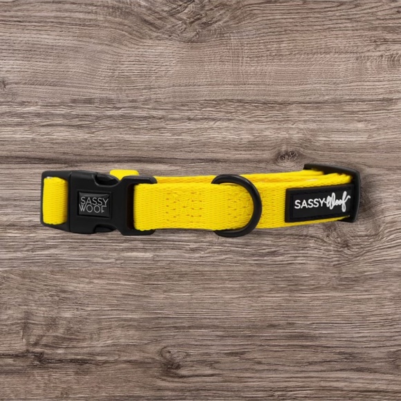 NWOT Sassy Woof Dog Collar - Neon Yellow - Picture 2 of 2